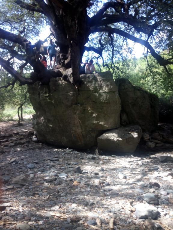 Naramanue Villa Dorgali Dış mekan fotoğraf