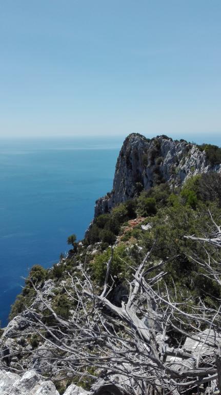 Naramanue Villa Dorgali Dış mekan fotoğraf