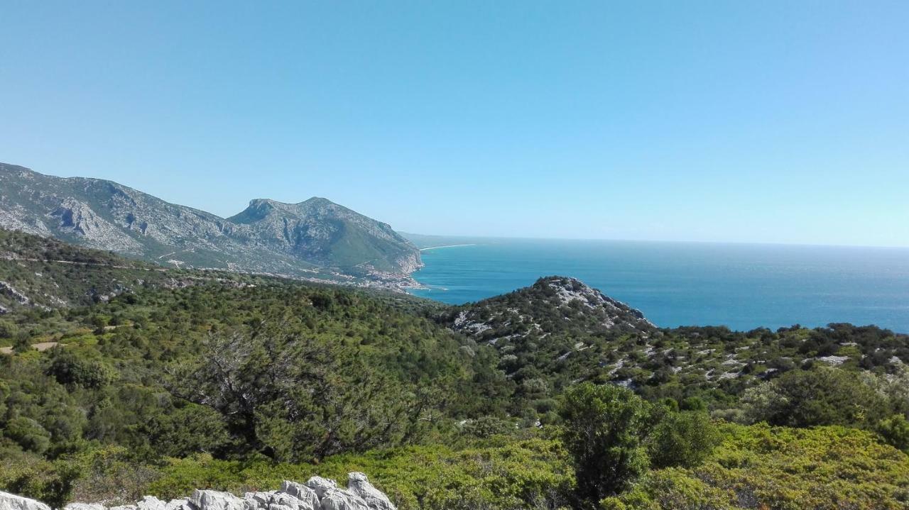 Naramanue Villa Dorgali Dış mekan fotoğraf